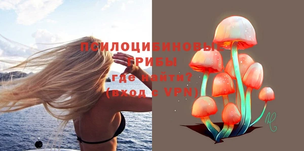 дурь Болохово