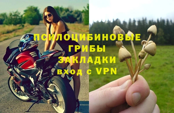 mdpv Болотное