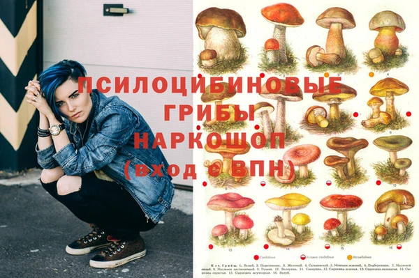 mdpv Болотное