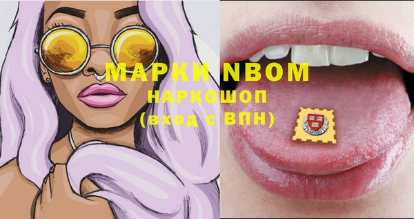 прущие грибы Трёхгорный