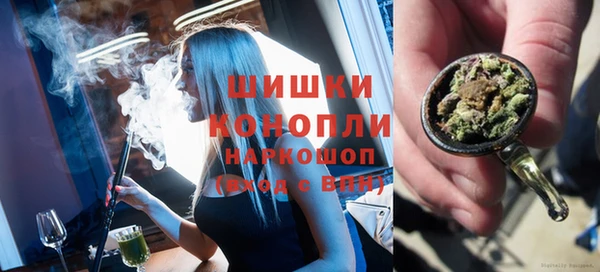 стаф Бикин