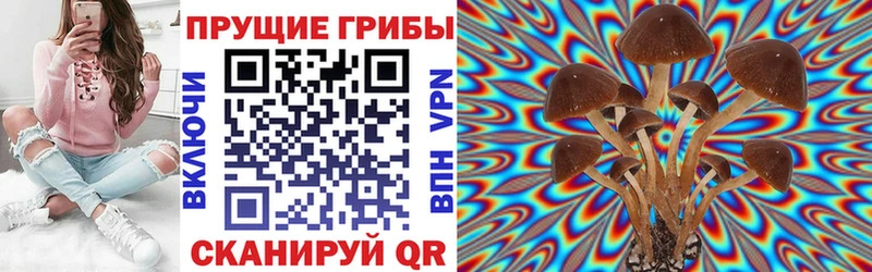 даркнет сайт  Кремёнки  Псилоцибиновые грибы ЛСД 
